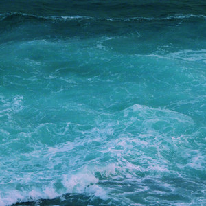 草草草在线视频
